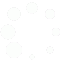 spinner